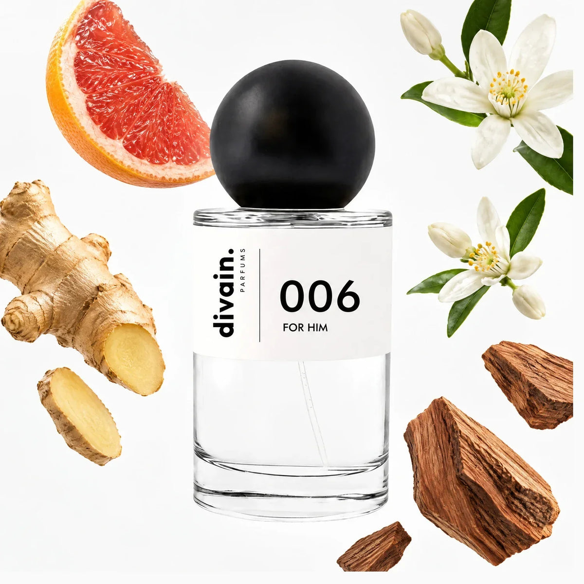 divain. 006