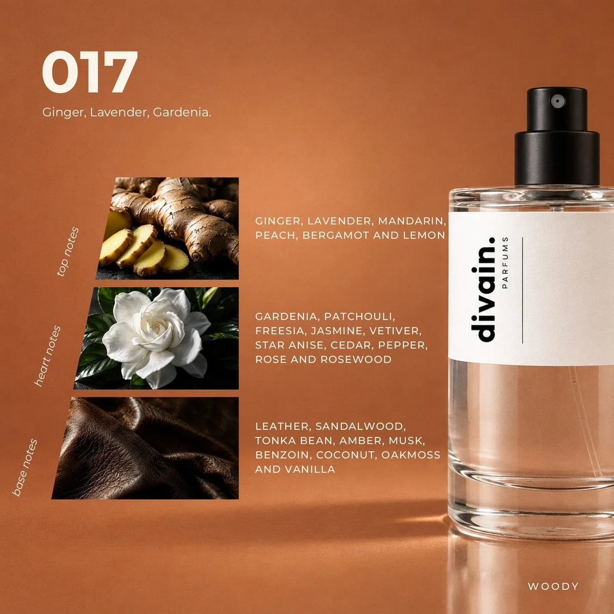 divain. 017