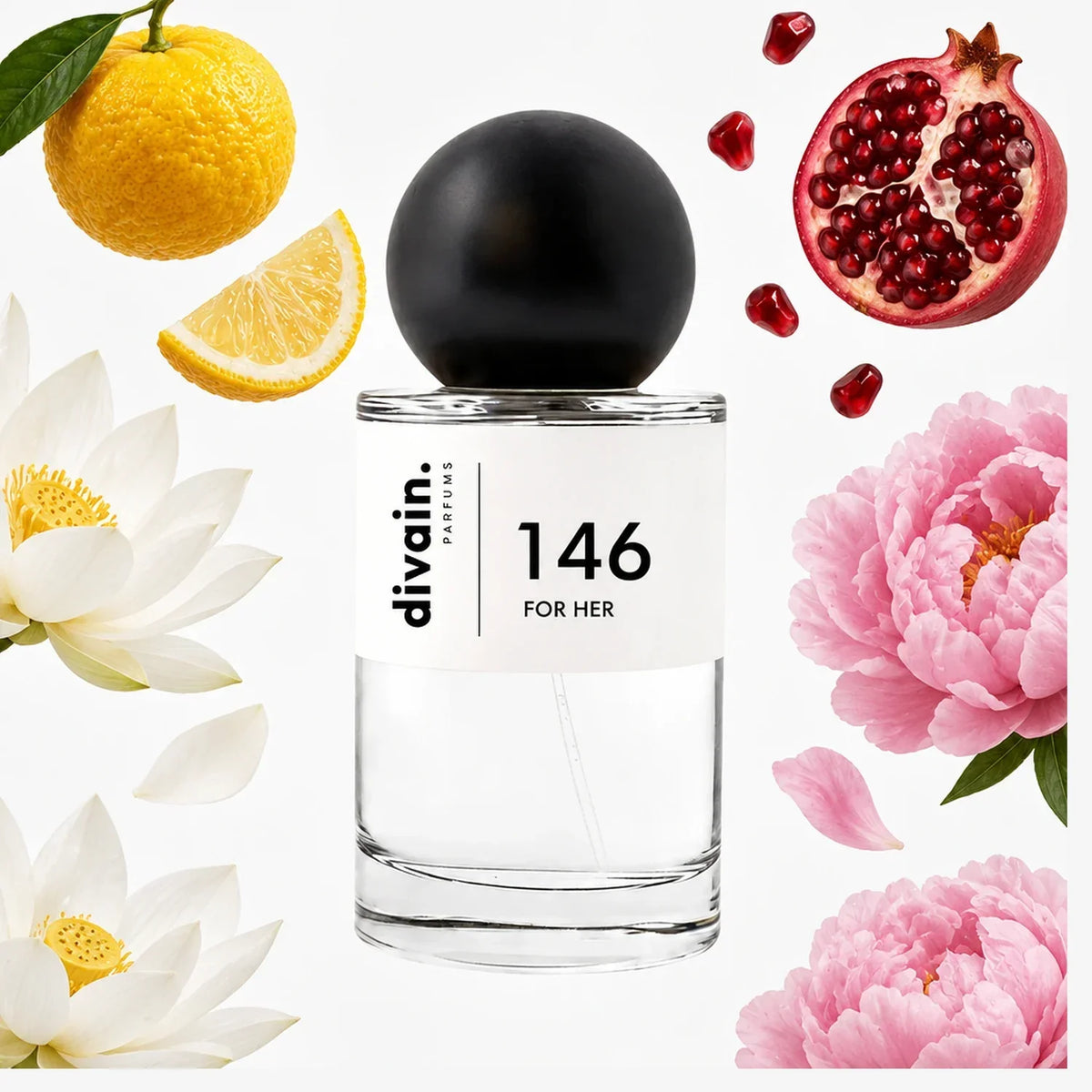 divain. 146