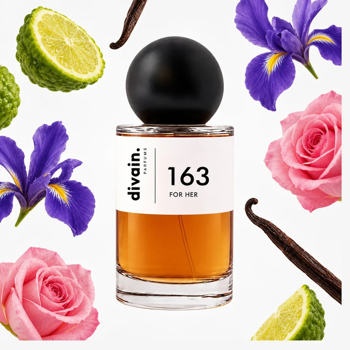 divain. 163
